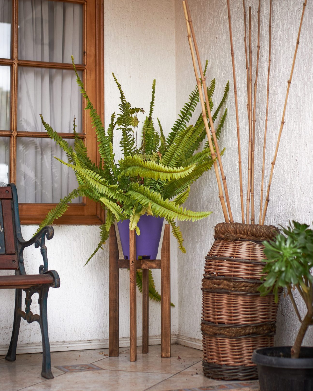 Pedestales porta maceteros - Imagen 5