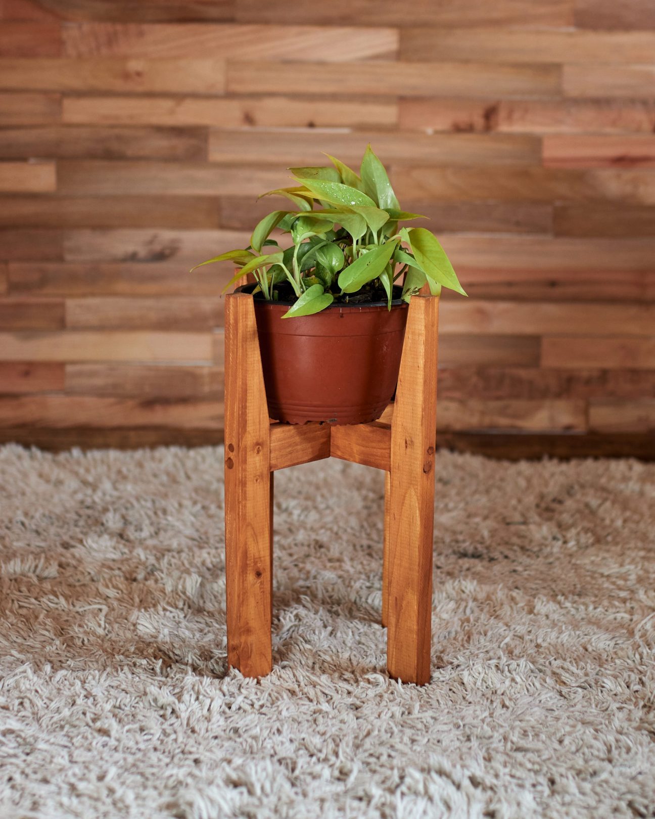 Pedestales porta maceteros - Imagen 12