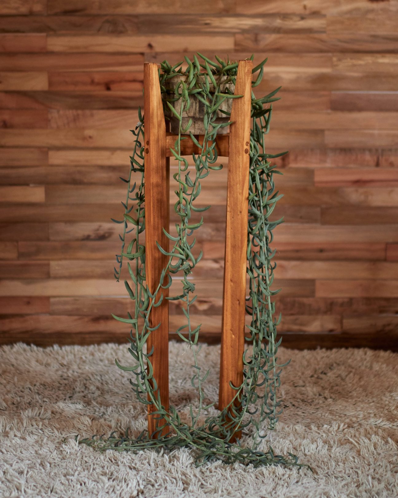 Pedestales porta maceteros - Imagen 15