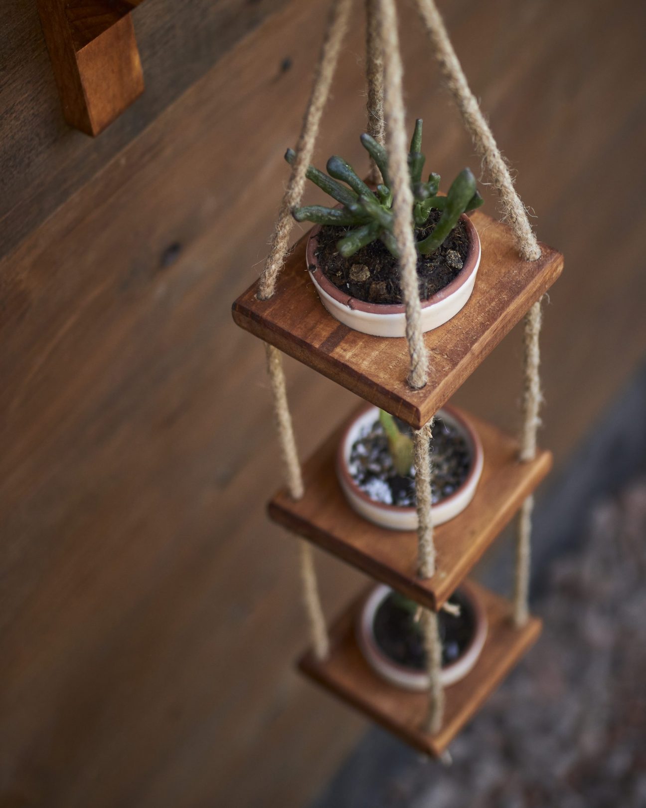 Porta maceteros colgante + Maceteros - Imagen 4