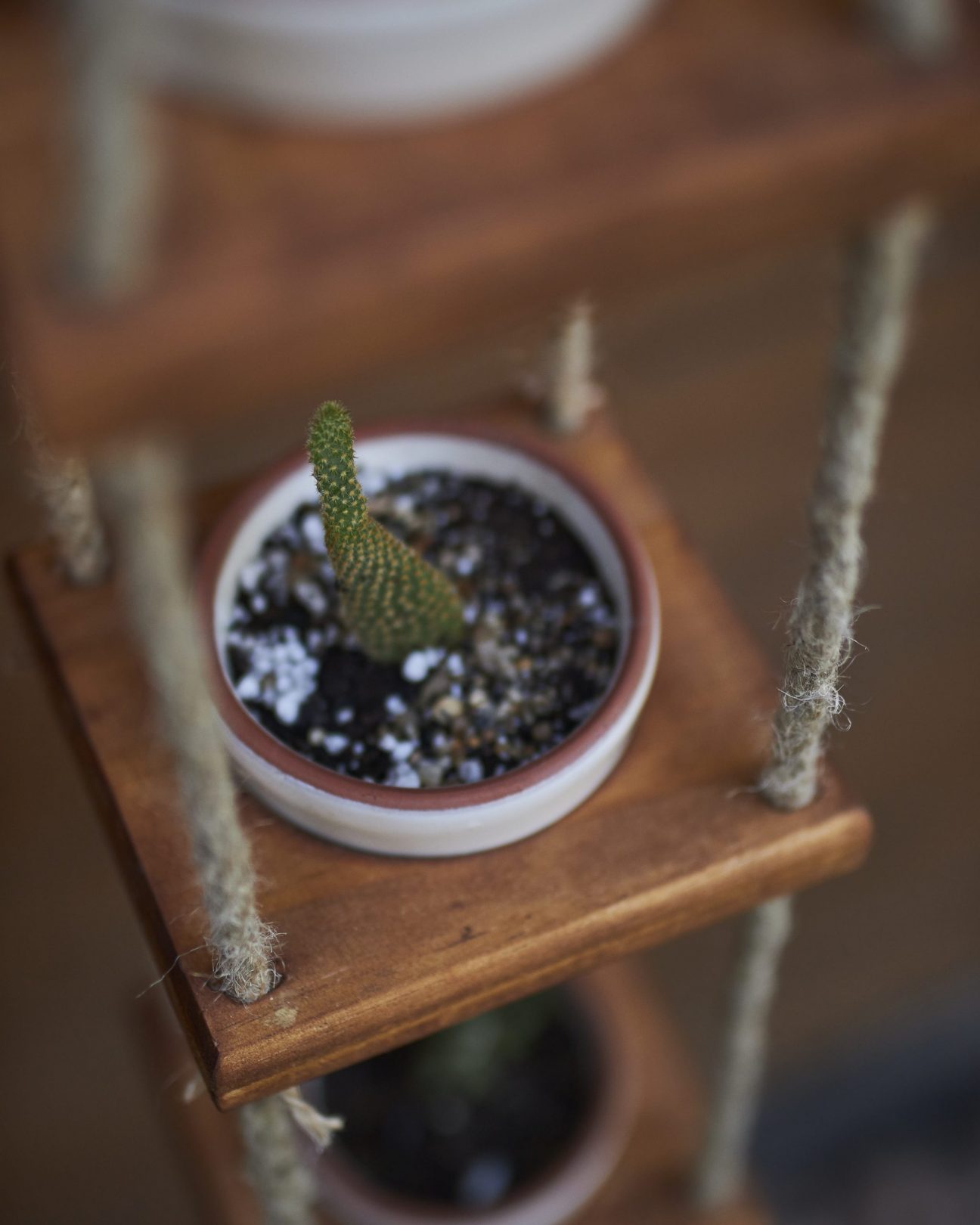 Porta maceteros colgante + Maceteros - Imagen 6