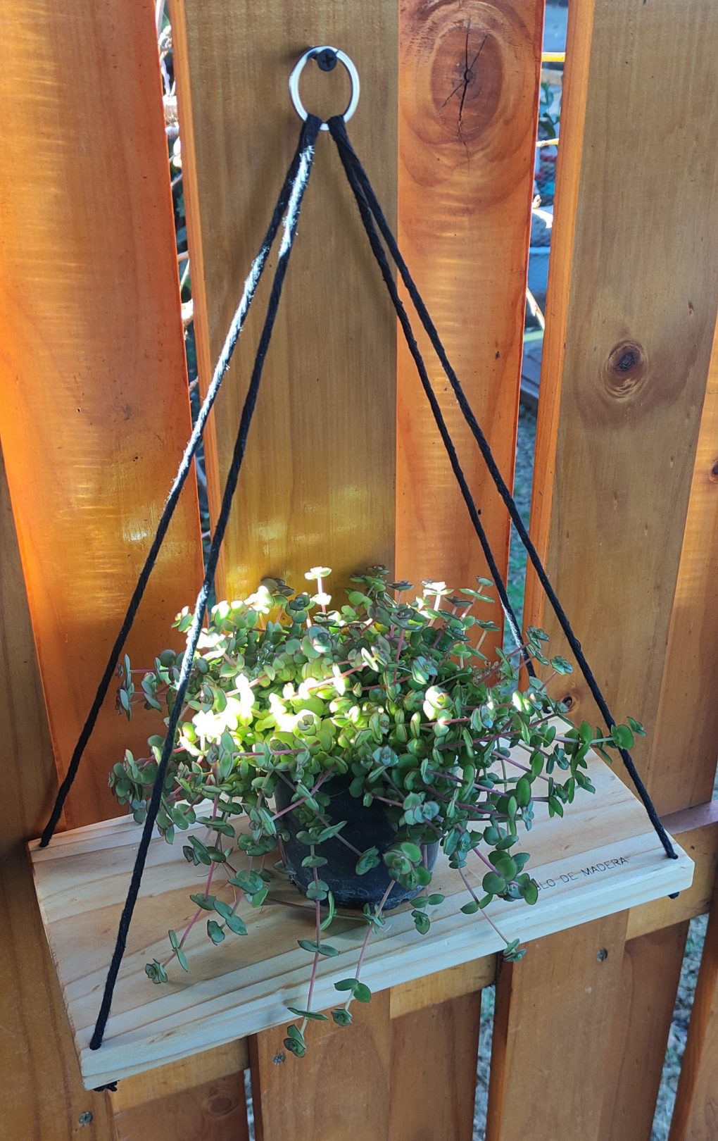 Set Repisas Colgantes (Dos unidades) - Imagen 13