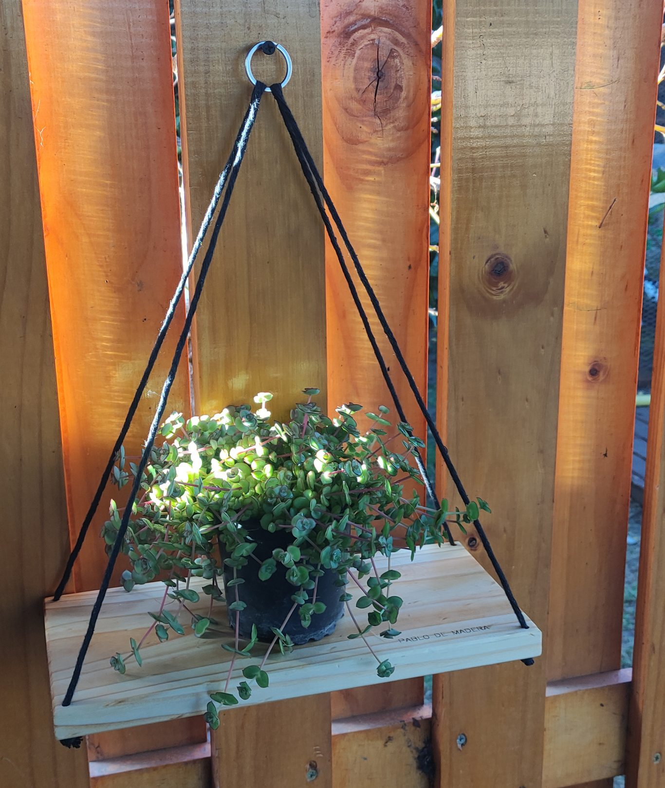 Set Repisas Colgantes (Dos unidades) - Imagen 3